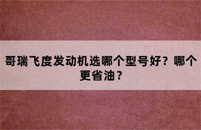 哥瑞飞度发动机选哪个型号好？哪个更省油？