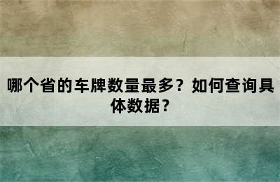 哪个省的车牌数量最多？如何查询具体数据？