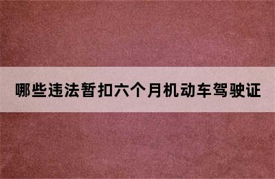 哪些违法暂扣六个月机动车驾驶证