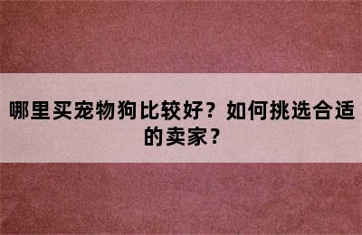 哪里买宠物狗比较好？如何挑选合适的卖家？