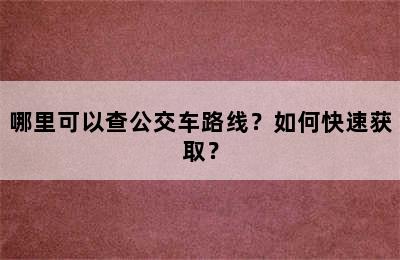 哪里可以查公交车路线？如何快速获取？