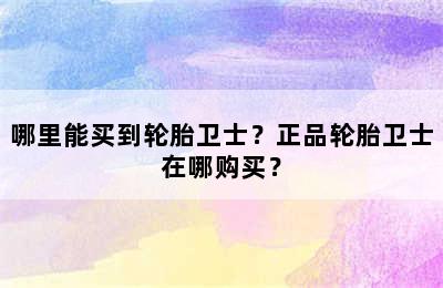 哪里能买到轮胎卫士？正品轮胎卫士在哪购买？