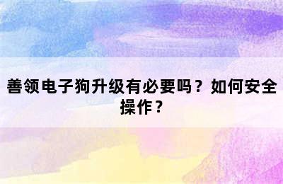 善领电子狗升级有必要吗？如何安全操作？