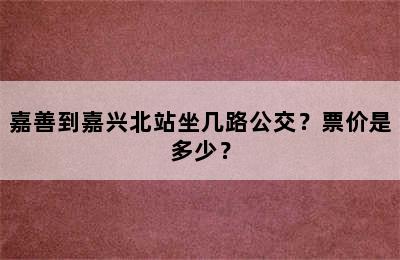 嘉善到嘉兴北站坐几路公交？票价是多少？