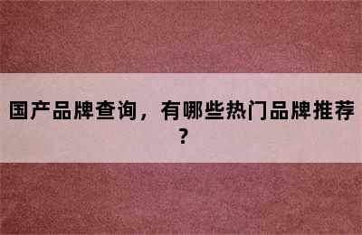 国产品牌查询，有哪些热门品牌推荐？