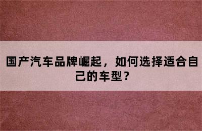 国产汽车品牌崛起，如何选择适合自己的车型？