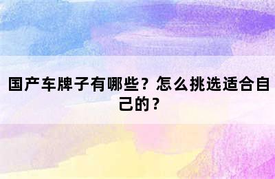 国产车牌子有哪些？怎么挑选适合自己的？