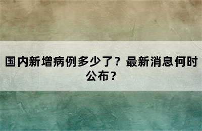 国内新增病例多少了？最新消息何时公布？