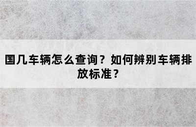 国几车辆怎么查询？如何辨别车辆排放标准？