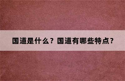 国道是什么？国道有哪些特点？