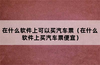 在什么软件上可以买汽车票（在什么软件上买汽车票便宜）