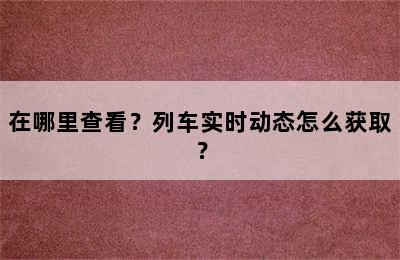 在哪里查看？列车实时动态怎么获取？