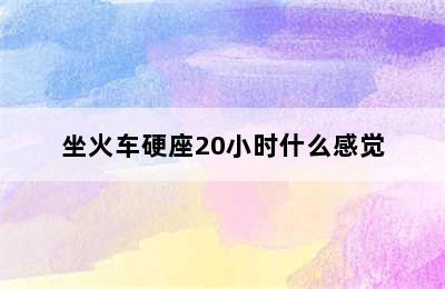 坐火车硬座20小时什么感觉