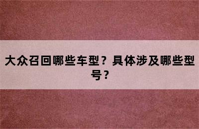 大众召回哪些车型？具体涉及哪些型号？