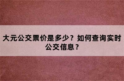 大元公交票价是多少？如何查询实时公交信息？