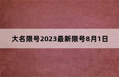 大名限号2023最新限号8月1日