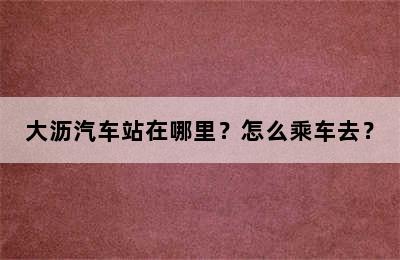 大沥汽车站在哪里？怎么乘车去？