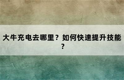 大牛充电去哪里？如何快速提升技能？