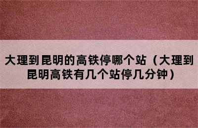 大理到昆明的高铁停哪个站（大理到昆明高铁有几个站停几分钟）