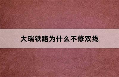 大瑞铁路为什么不修双线