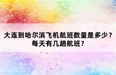 大连到哈尔滨飞机航班数量是多少？每天有几趟航班？