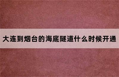 大连到烟台的海底隧道什么时候开通