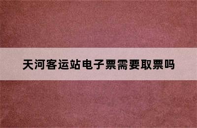 天河客运站电子票需要取票吗