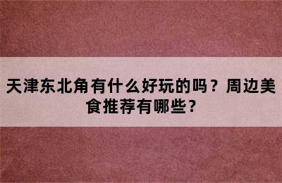 天津东北角有什么好玩的吗？周边美食推荐有哪些？