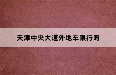 天津中央大道外地车限行吗