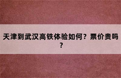 天津到武汉高铁体验如何？票价贵吗？