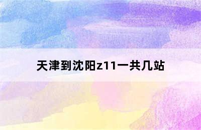 天津到沈阳z11一共几站