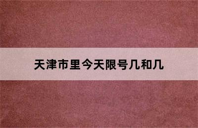 天津市里今天限号几和几