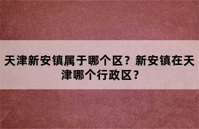 天津新安镇属于哪个区？新安镇在天津哪个行政区？