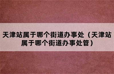 天津站属于哪个街道办事处（天津站属于哪个街道办事处管）