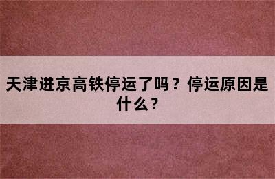 天津进京高铁停运了吗？停运原因是什么？