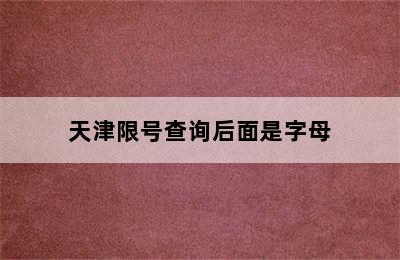 天津限号查询后面是字母