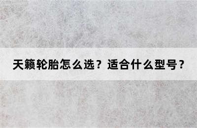 天籁轮胎怎么选？适合什么型号？