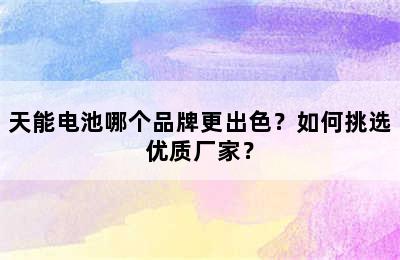 天能电池哪个品牌更出色？如何挑选优质厂家？