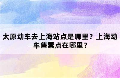 太原动车去上海站点是哪里？上海动车售票点在哪里？