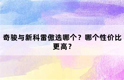 奇骏与新科雷傲选哪个？哪个性价比更高？