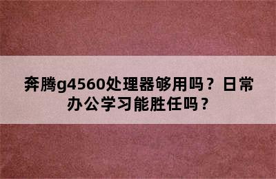 奔腾g4560处理器够用吗？日常办公学习能胜任吗？