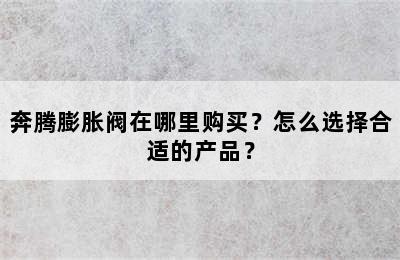 奔腾膨胀阀在哪里购买？怎么选择合适的产品？