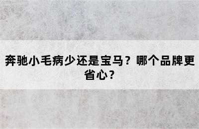 奔驰小毛病少还是宝马？哪个品牌更省心？