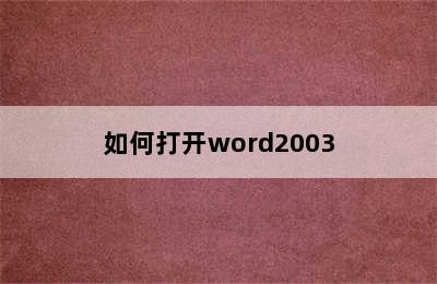 如何打开word2003