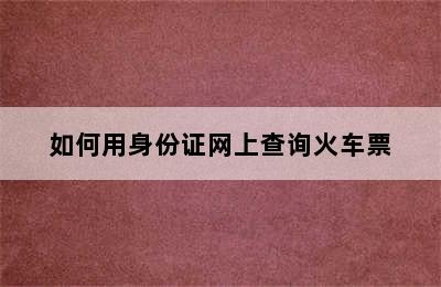 如何用身份证网上查询火车票