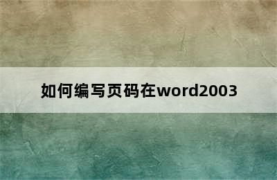 如何编写页码在word2003