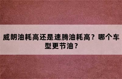 威朗油耗高还是速腾油耗高？哪个车型更节油？