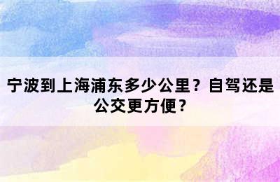 宁波到上海浦东多少公里？自驾还是公交更方便？