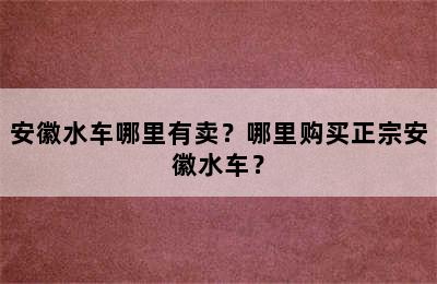 安徽水车哪里有卖？哪里购买正宗安徽水车？