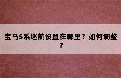 宝马5系巡航设置在哪里？如何调整？